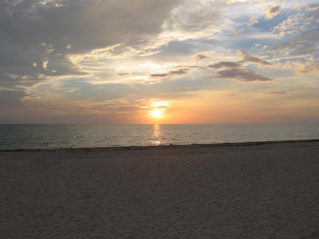 A Beach Retreat On Casey Key Nokomis Eksteriør billede
