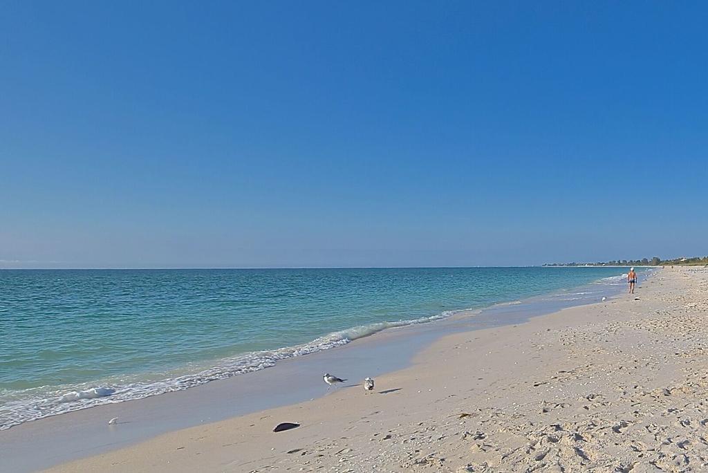A Beach Retreat On Casey Key Nokomis Eksteriør billede